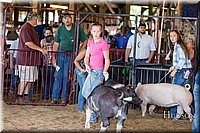 LCFAIR17-4040.jpg