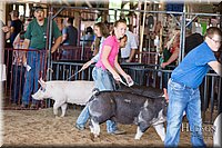 LCFAIR17-4041.jpg