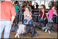 LCFAIR17-4044.jpg