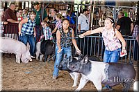 LCFAIR17-4045.jpg
