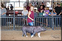 LCFAIR17-4047.jpg