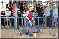 LCFAIR17-4048.jpg