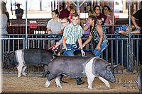 LCFAIR17-4049.jpg