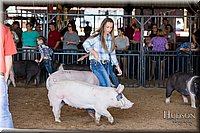LCFAIR17-4050.jpg
