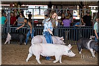 LCFAIR17-4051.jpg