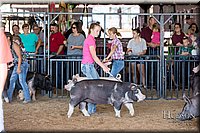 LCFAIR17-4052.jpg