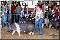 LCFAIR17-4054.jpg