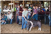 LCFAIR17-4055.jpg