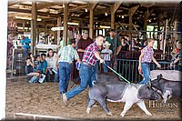 LCFAIR17-4056.jpg