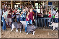 LCFAIR17-4057.jpg