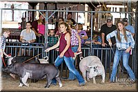 LCFAIR17-4059.jpg