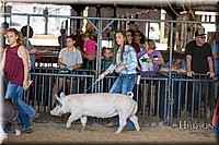 LCFAIR17-4060.jpg