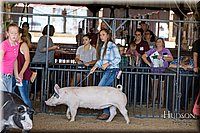 LCFAIR17-4061.jpg