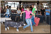LCFAIR17-4062.jpg