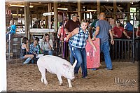 LCFAIR17-4063.jpg