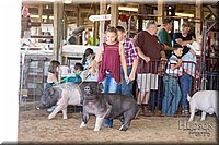 LCFAIR17-4065.jpg