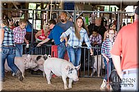 LCFAIR17-4066.jpg