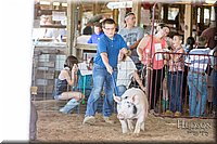 LCFAIR17-4069.jpg