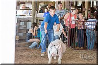 LCFAIR17-4070.jpg