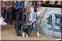LCFAIR17-4071.jpg