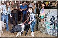 LCFAIR17-4072.jpg