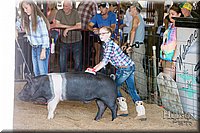 LCFAIR17-4073.jpg