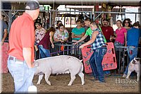 LCFAIR17-4074.jpg