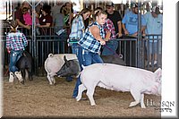LCFAIR17-4075.jpg