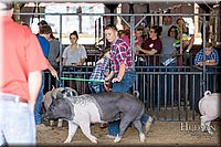 LCFAIR17-4076.jpg