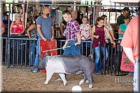 LCFAIR17-4077.jpg