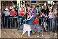 LCFAIR17-4078.jpg