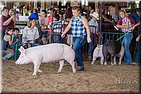 LCFAIR17-4079.jpg