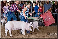 LCFAIR17-4081.jpg