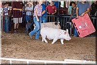 LCFAIR17-4082.jpg