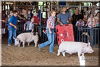 LCFAIR17-4083.jpg