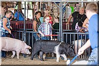 LCFAIR17-4084.jpg