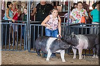 LCFAIR17-4085.jpg