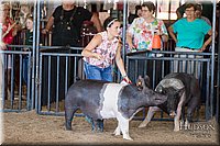 LCFAIR17-4086.jpg