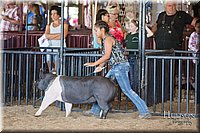 LCFAIR17-4090.jpg