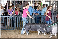 LCFAIR17-4092.jpg