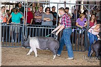LCFAIR17-4093.jpg