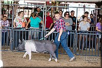 LCFAIR17-4094.jpg