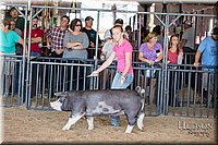 LCFAIR17-4095.jpg