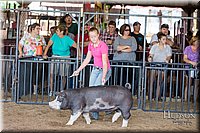 LCFAIR17-4096.jpg
