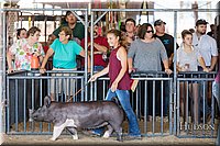 LCFAIR17-4097.jpg