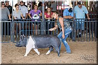 LCFAIR17-4098.jpg
