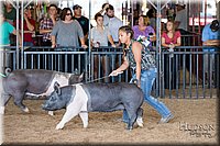 LCFAIR17-4099.jpg