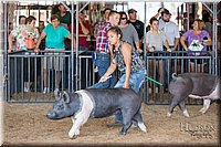 LCFAIR17-4100.jpg