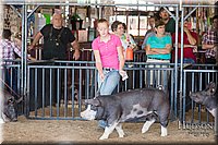 LCFAIR17-4101.jpg