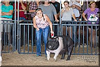 LCFAIR17-4102.jpg